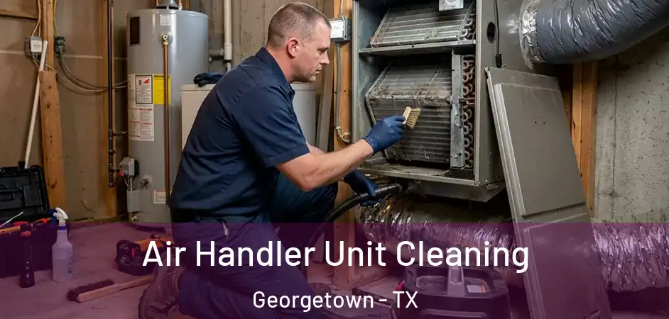 Air Handler Unit Cleaning Georgetown - TX