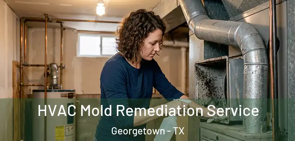 HVAC Mold Remediation Service Georgetown - TX