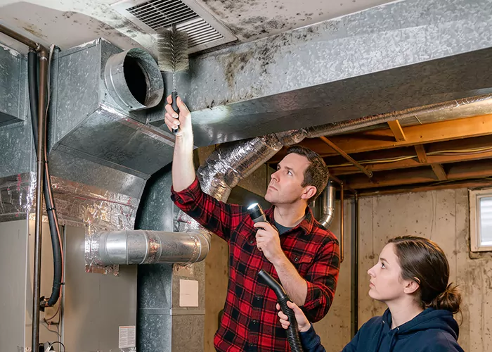 Premier HVAC Mold Remediation Company in Georgetown